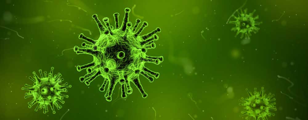 Sgt. Poopers disinfection eliminates 99.999% of bacteria and viruses on infected surfaces. Image of a virus