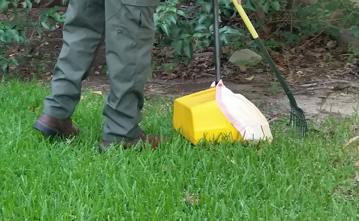 Pooper scooper Dallas, Texas Dog waste removal in Dallas, Texas