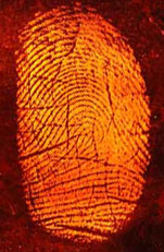 fingerprint