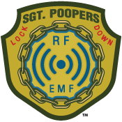 emf lock down logo