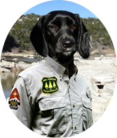 sgt poopers mascot oval
