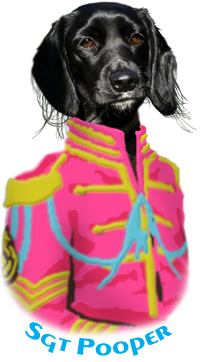 Sgt. Poopers® Mascot, Maria 2006-2017