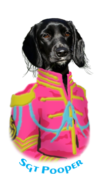 Sgt. Poopers portrait