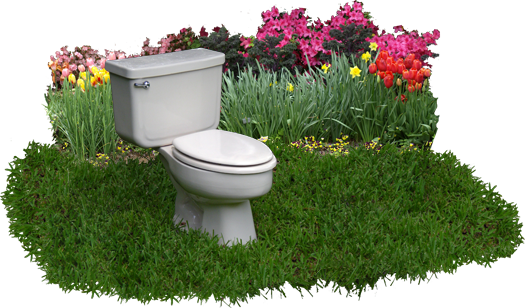 Image of toilet in a backyard setting