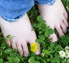 Image of bare feet standing in clean clover.